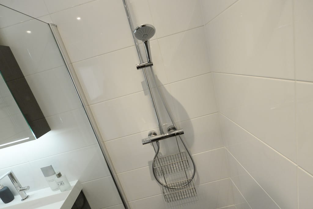 Photo 10 of Burgemeester Patijnlaan 124