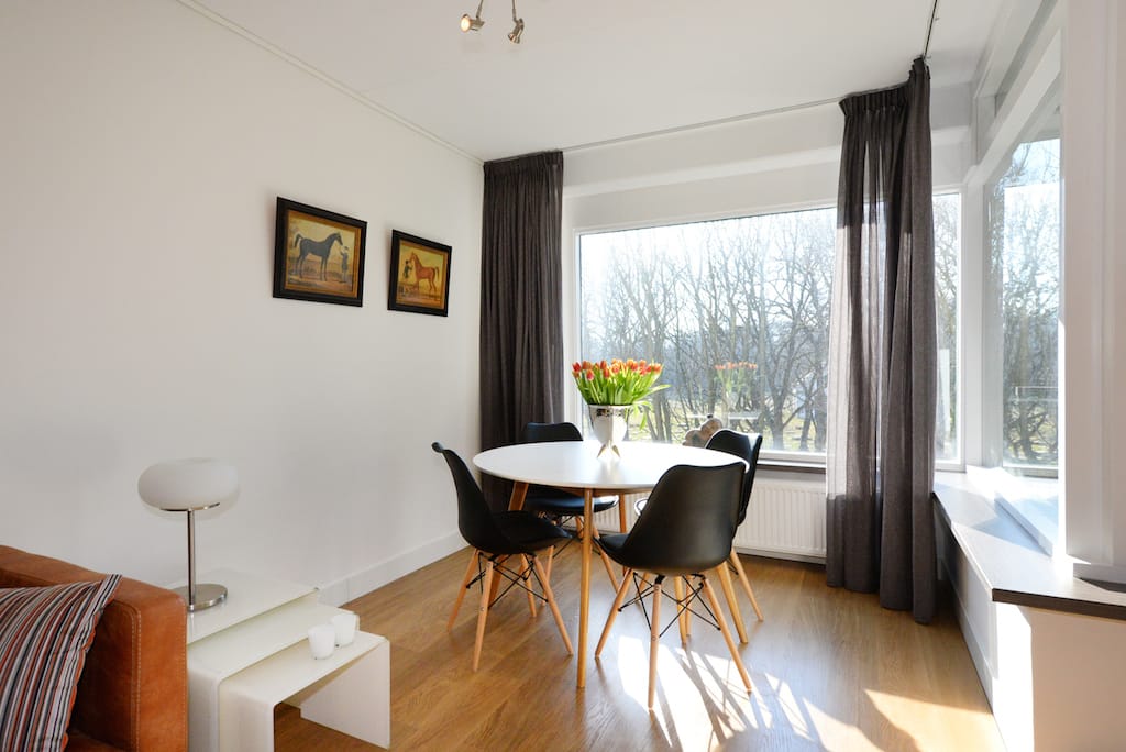 Photo 22 of Burgemeester Patijnlaan 124