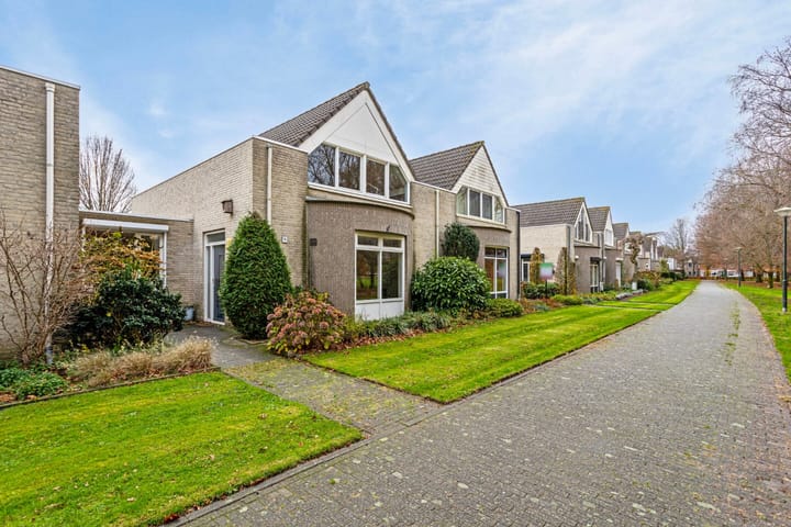 Foto 6 van Dalkruid 9