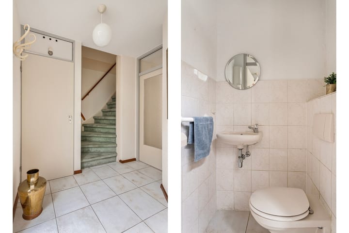 Foto 8 van Dalkruid 9