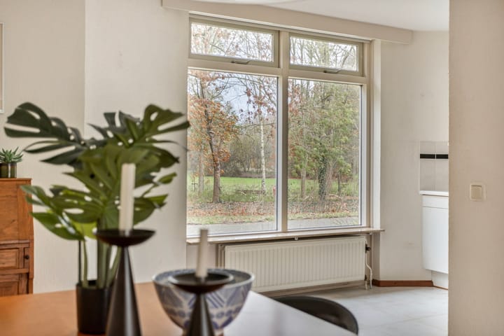 Foto 12 van Dalkruid 9