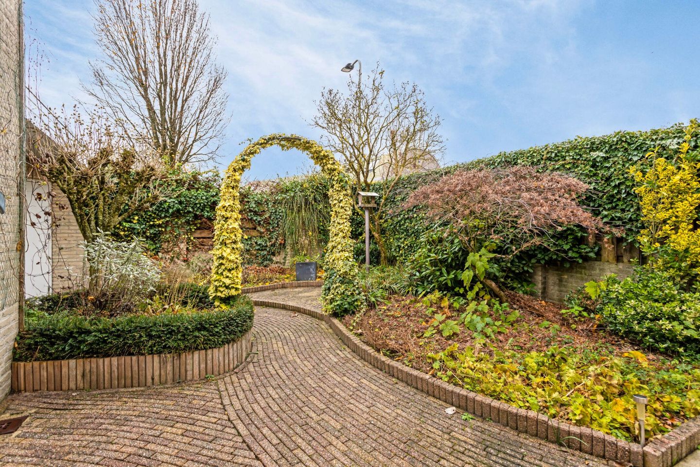 Foto 25 van Dalkruid 9