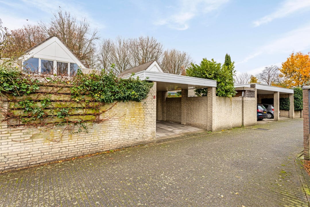 Foto 28 van Dalkruid 9