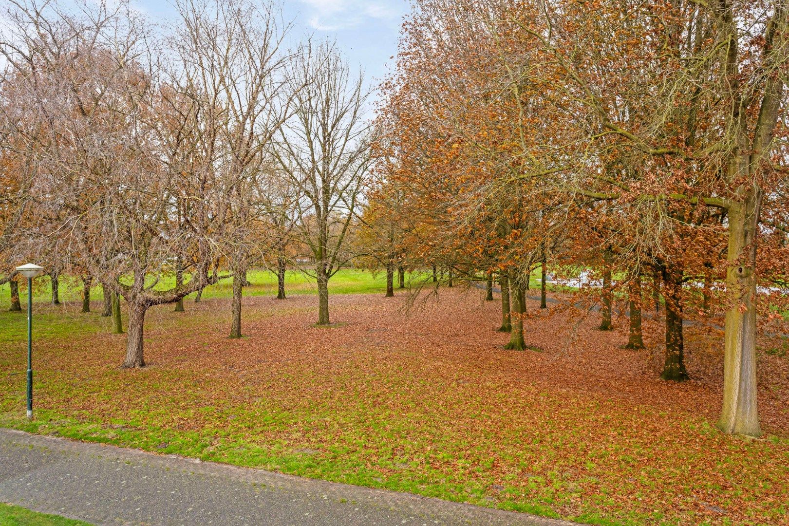 Foto 30 van Dalkruid 9