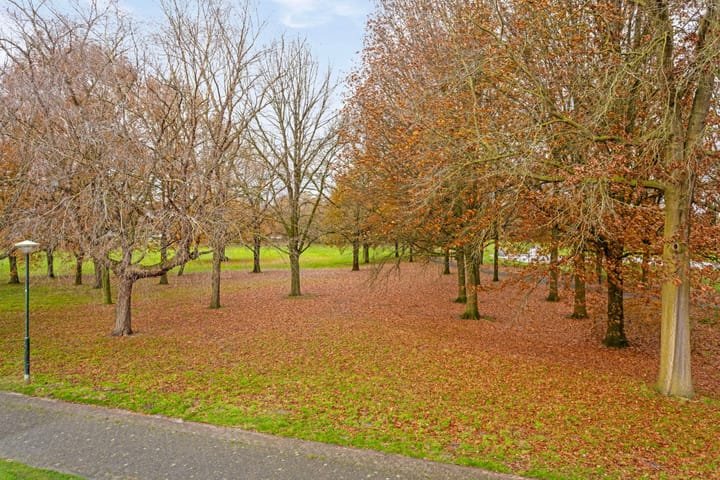 Foto 30 van Dalkruid 9