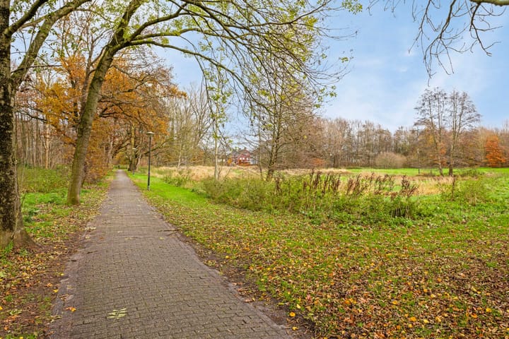 Foto 31 van Dalkruid 9