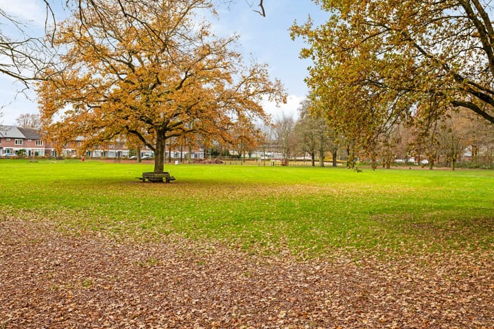 Foto 33 van Dalkruid 9