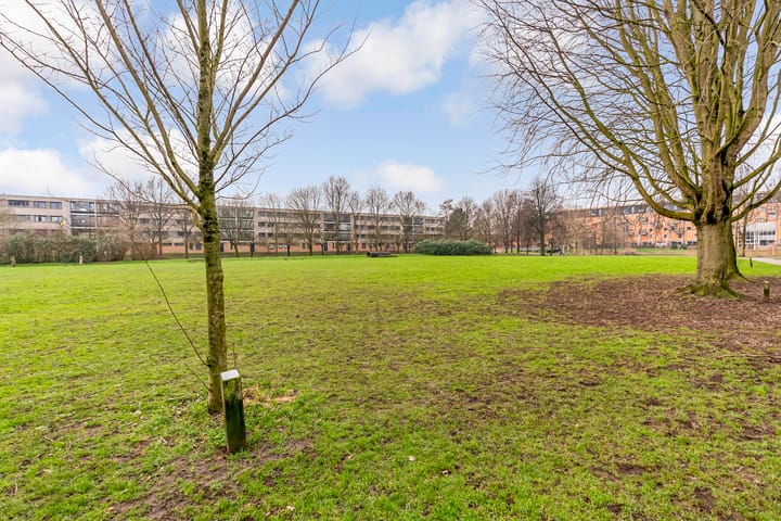 Foto 24 van Gitaarstraat 121