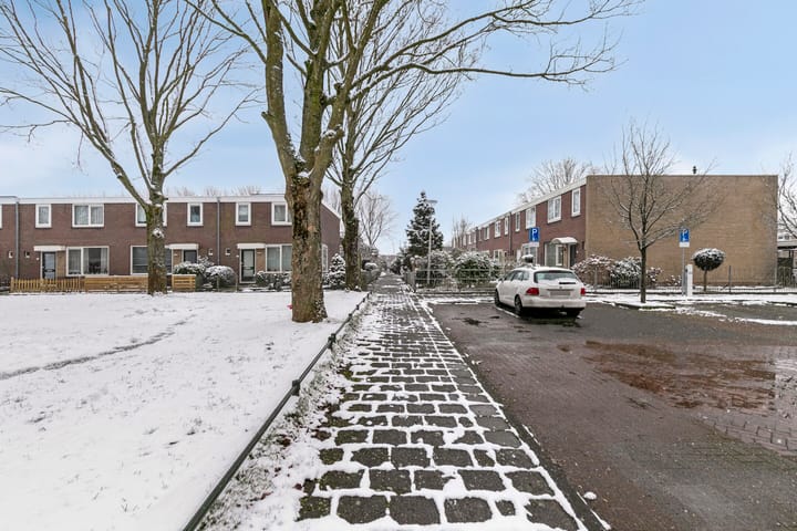 Photo 37 of Boogschutter 77