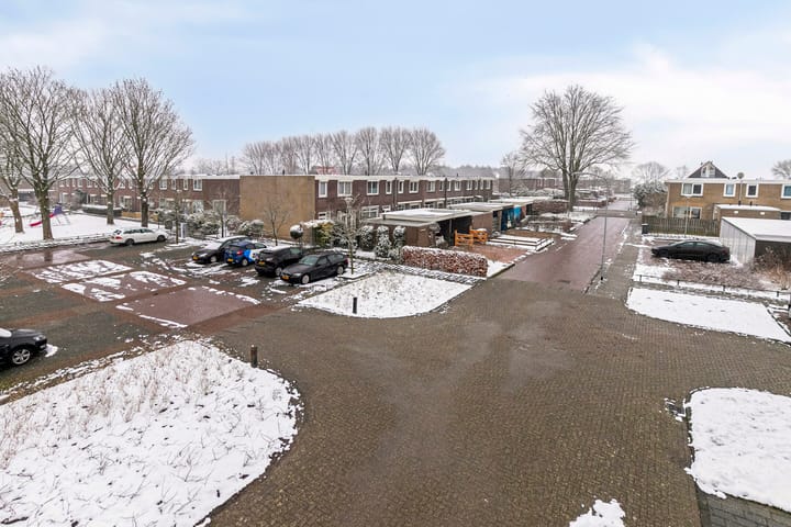 Photo 38 of Boogschutter 77