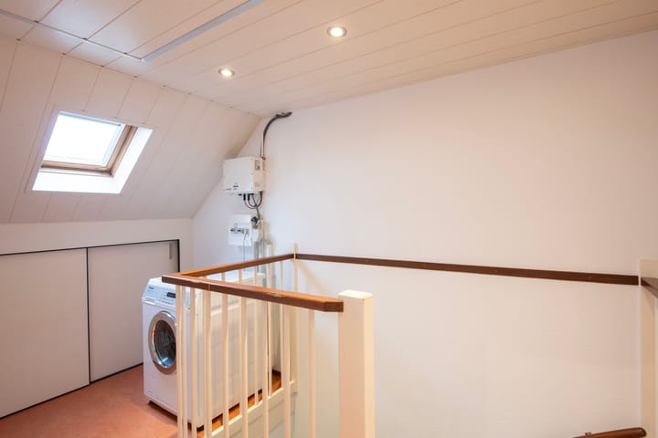 Foto 19 van Tarwe 31