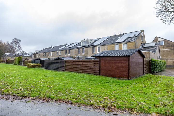 Foto 40 van Apollo 18