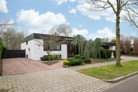 undefined main image