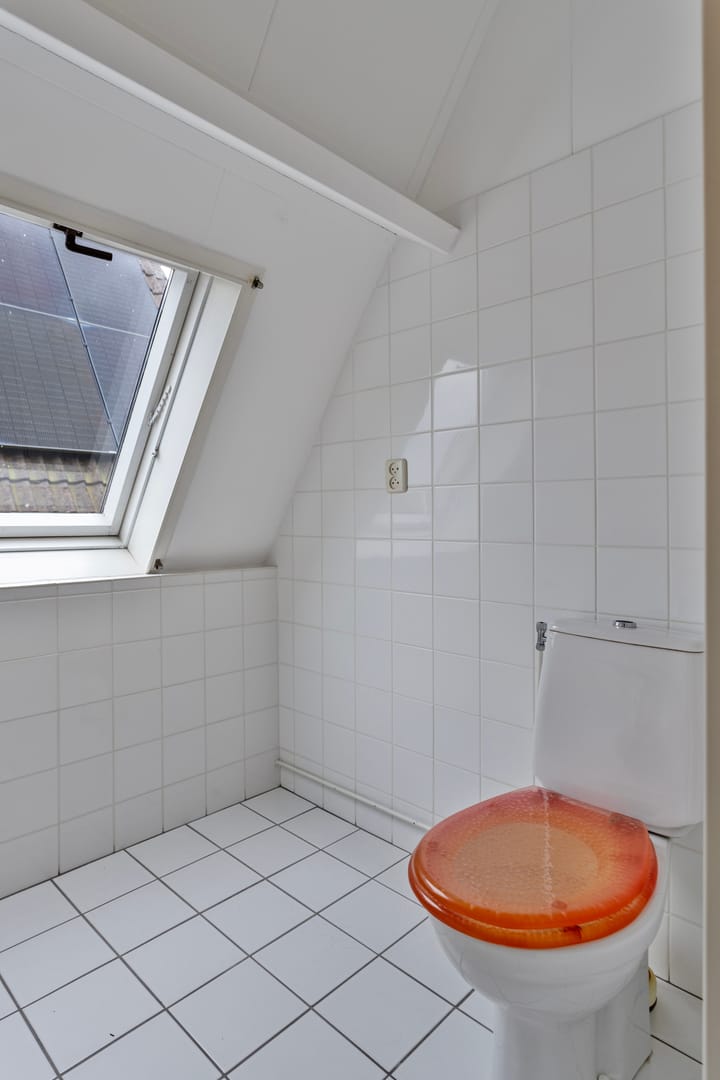 Foto 18 van Parelhoen 4