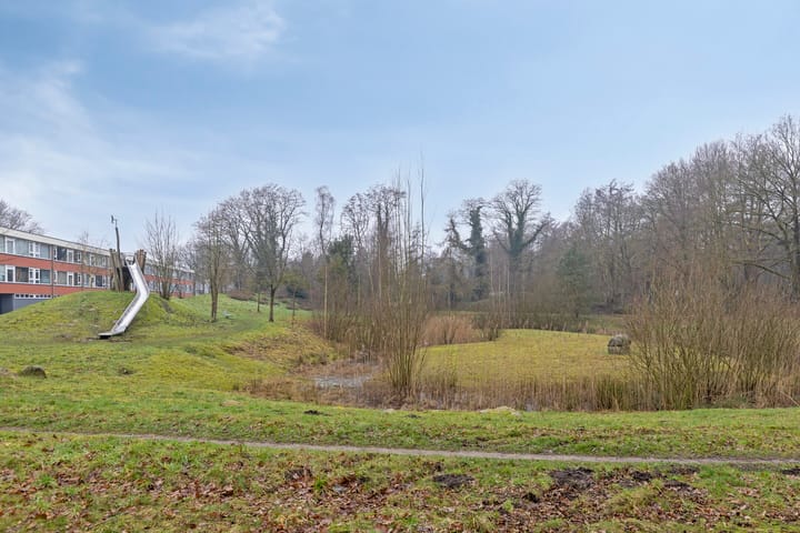 Foto 24 van Lippingeslag 27