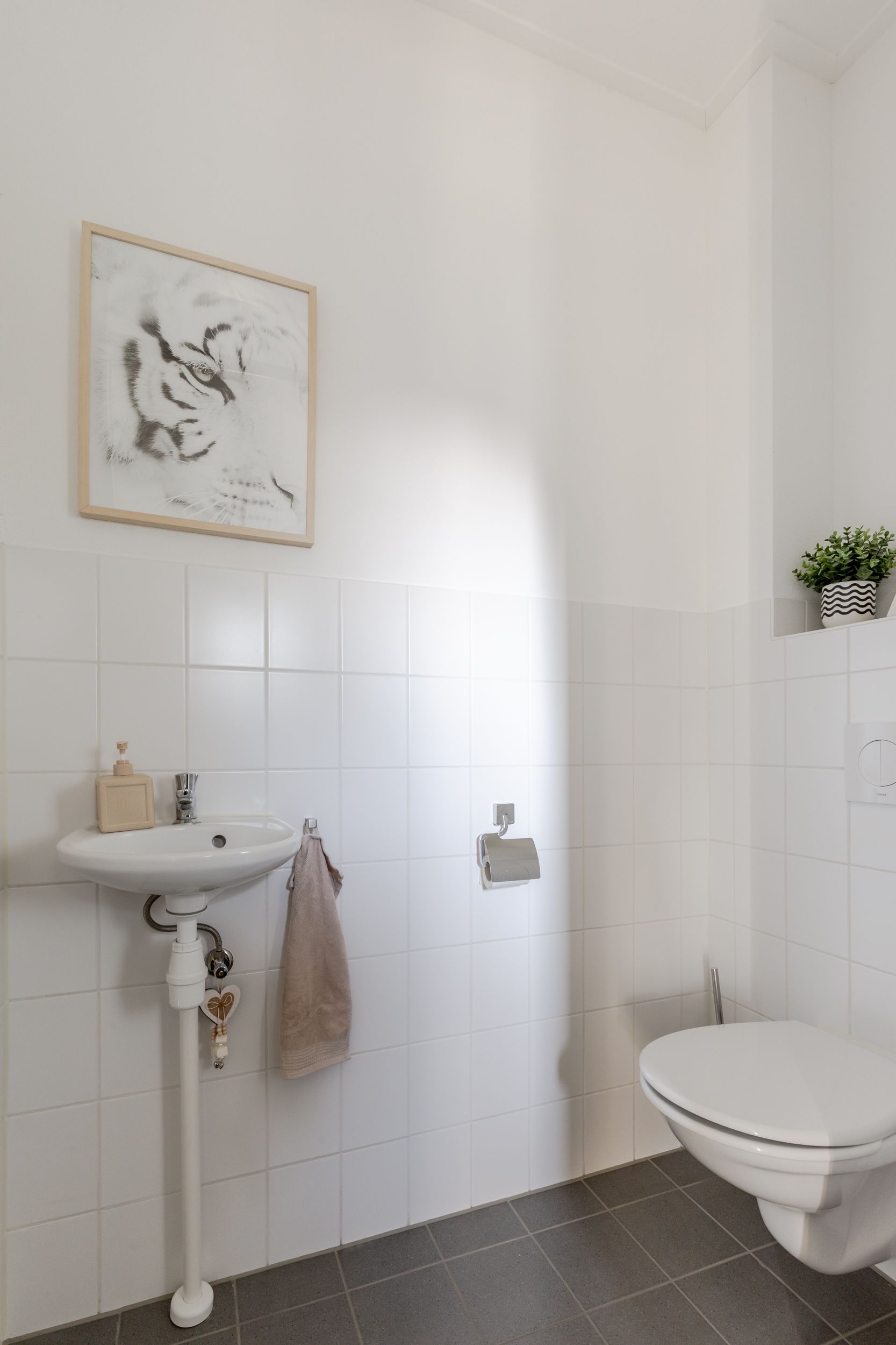 Photo 6 of Noorderend 27