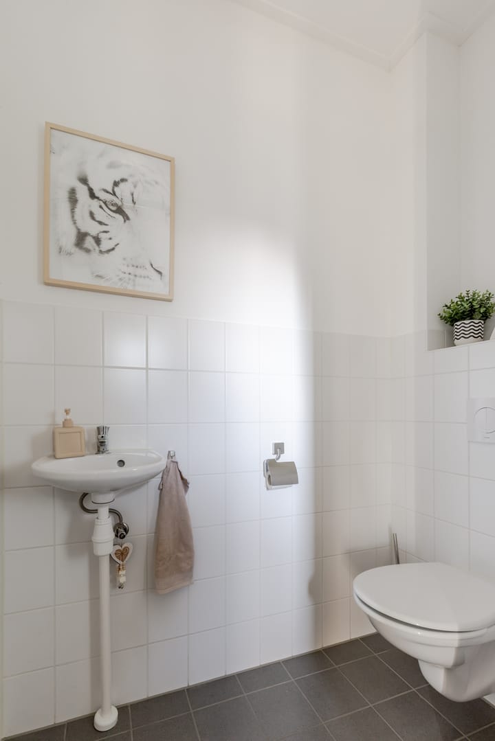 Foto 6 van Noorderend 27