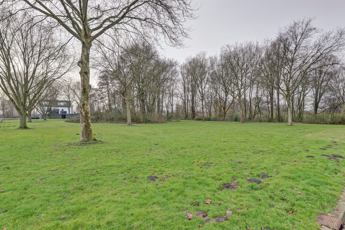 Foto 29 van Adjudant H.P. Kosterstraat 42