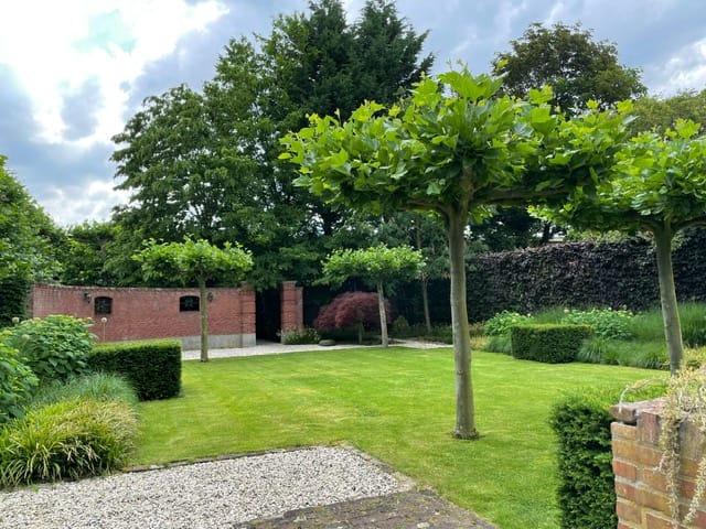 Foto 57 van Lepelstraat 5