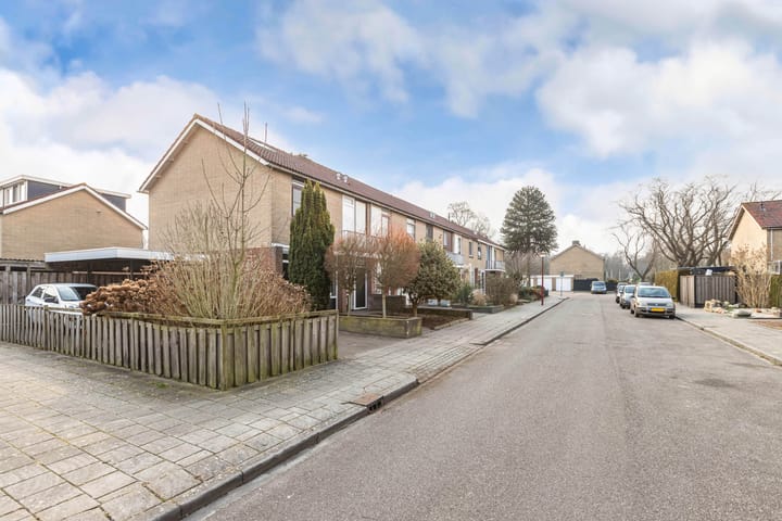 Foto 45 van Lepelaarstraat 39