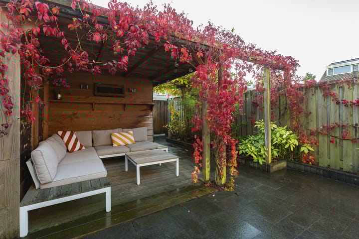 Foto 2 van Bronsmos 23