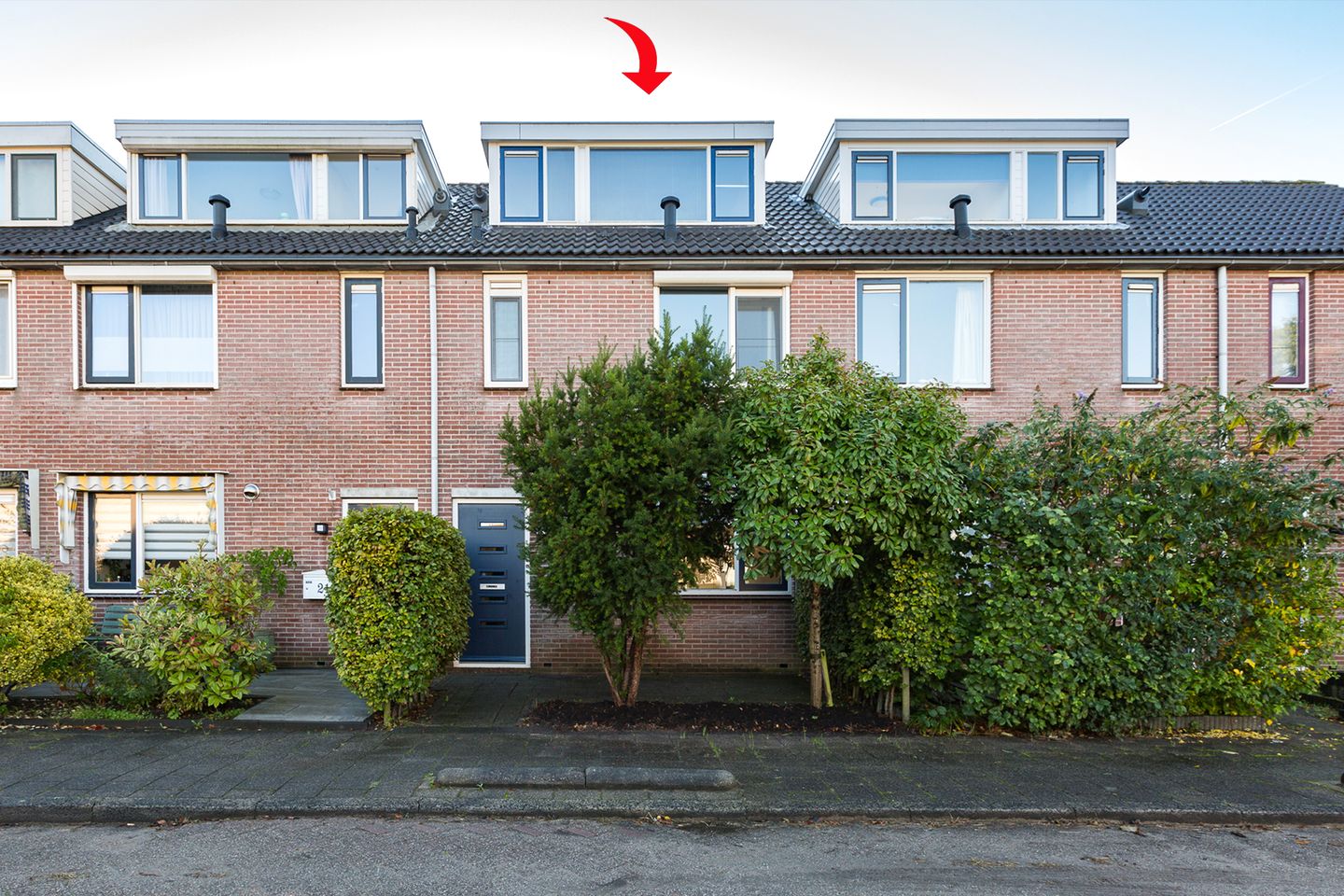 Foto 4 van Bronsmos 23