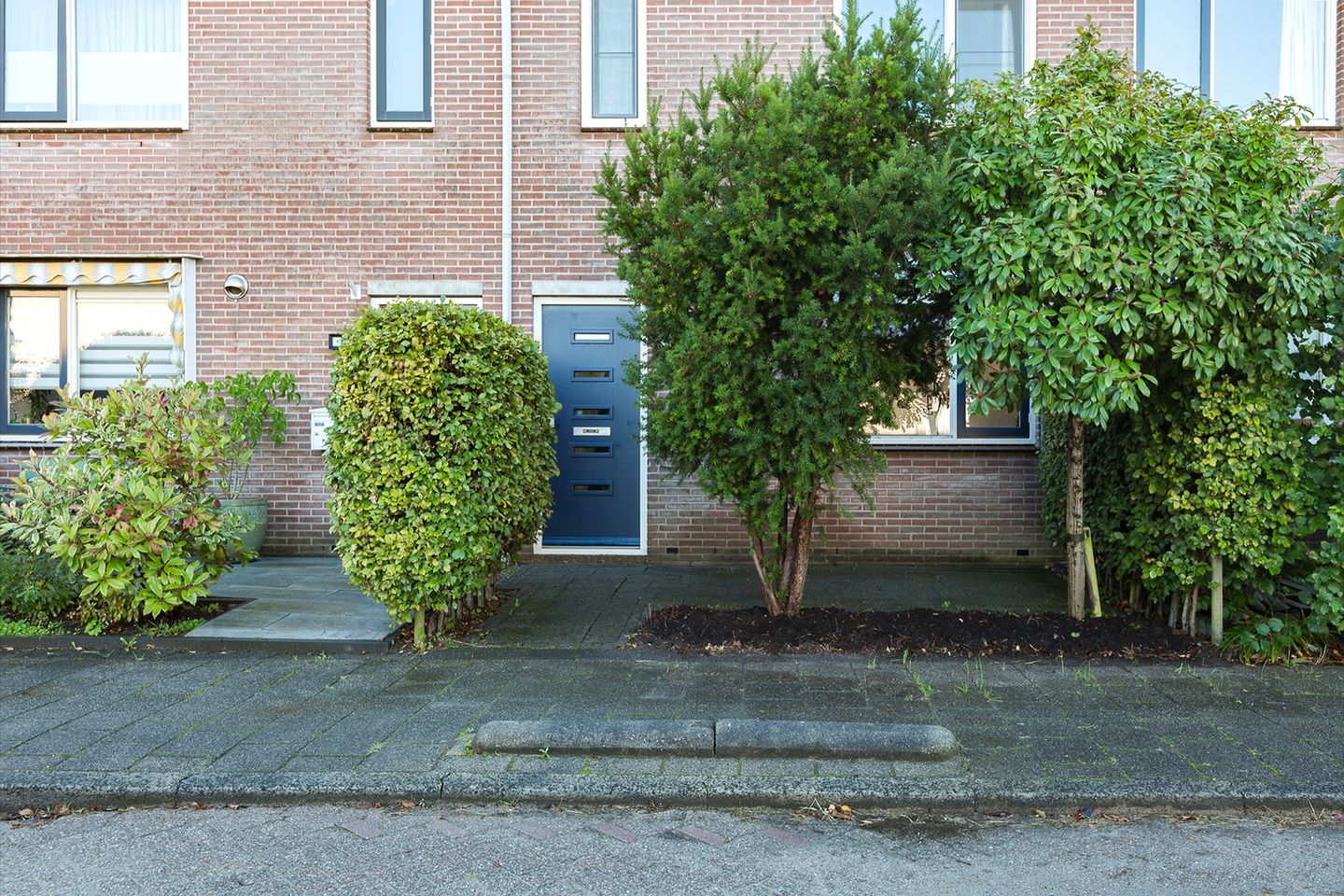 Foto 5 van Bronsmos 23