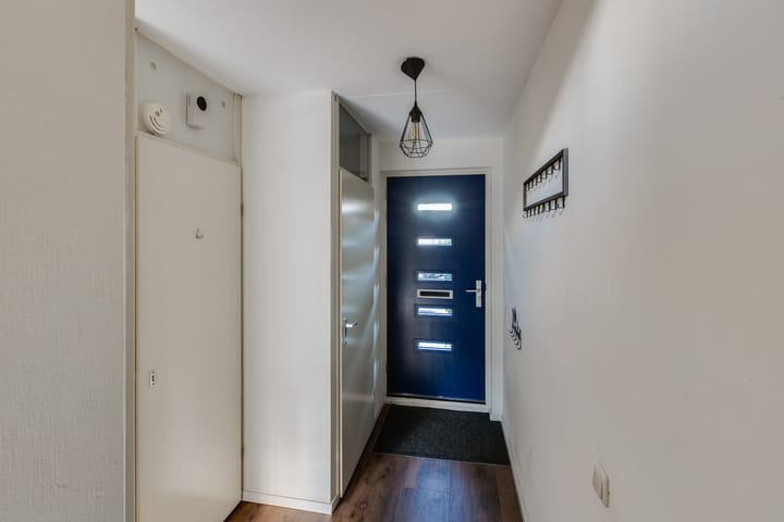 Foto 6 van Bronsmos 23