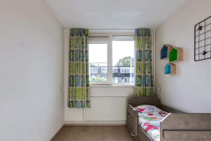 Foto 21 van Bronsmos 23