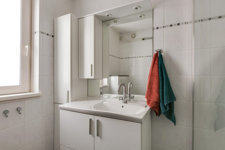 Foto 24 van Bronsmos 23