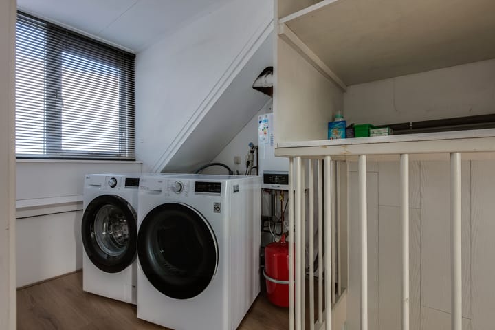 Foto 30 van Bronsmos 23