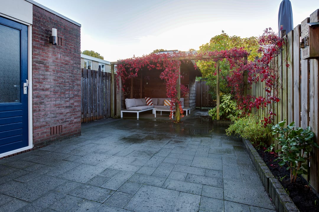 Foto 31 van Bronsmos 23