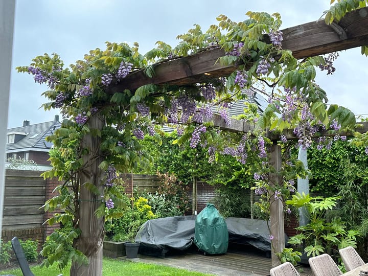 Foto 38 van Koetshuislaan 26