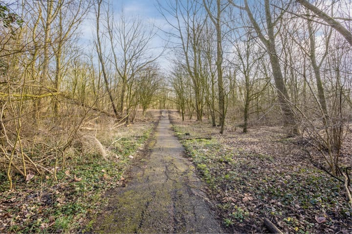 Foto 57 van Niek Engelschmanstraat 15