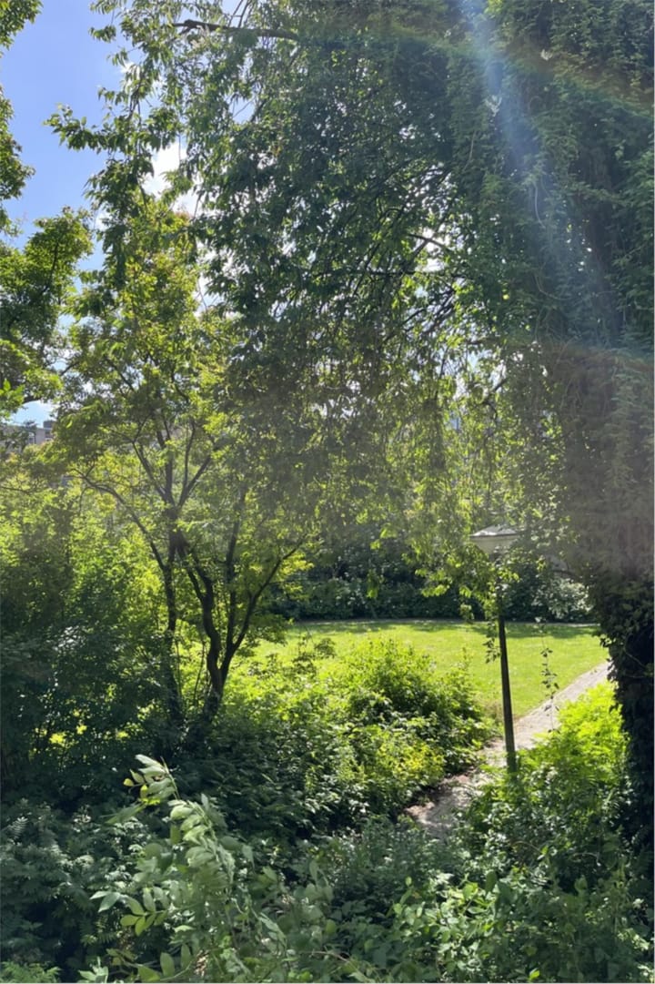 Foto 26 van Peursumstraat 58