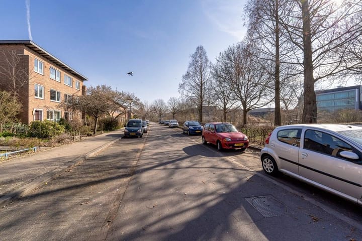 Foto 40 van Alfons Ariënsstraat 116