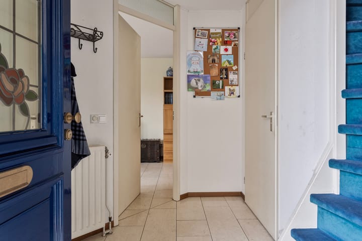 Foto 8 van Zwerfkei 54