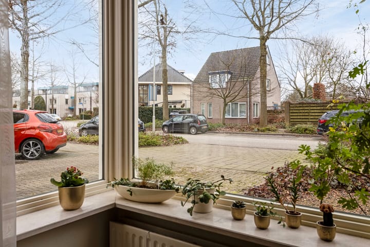 Foto 11 van Zwerfkei 54