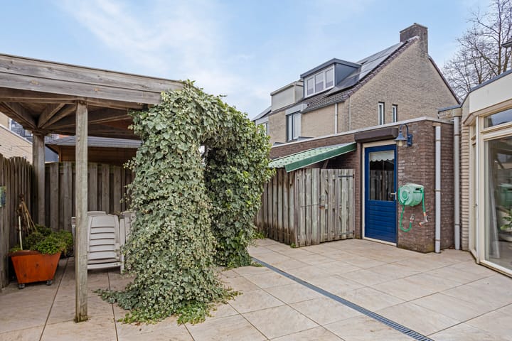 Foto 40 van Zwerfkei 54