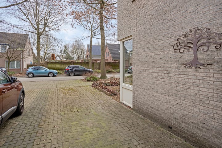 Foto 45 van Zwerfkei 54