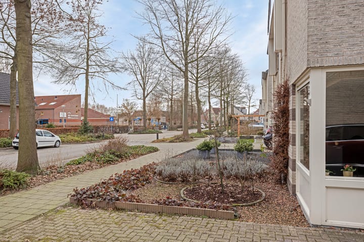 Foto 46 van Zwerfkei 54