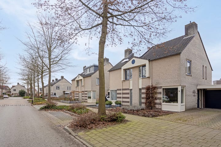 Foto 49 van Zwerfkei 54