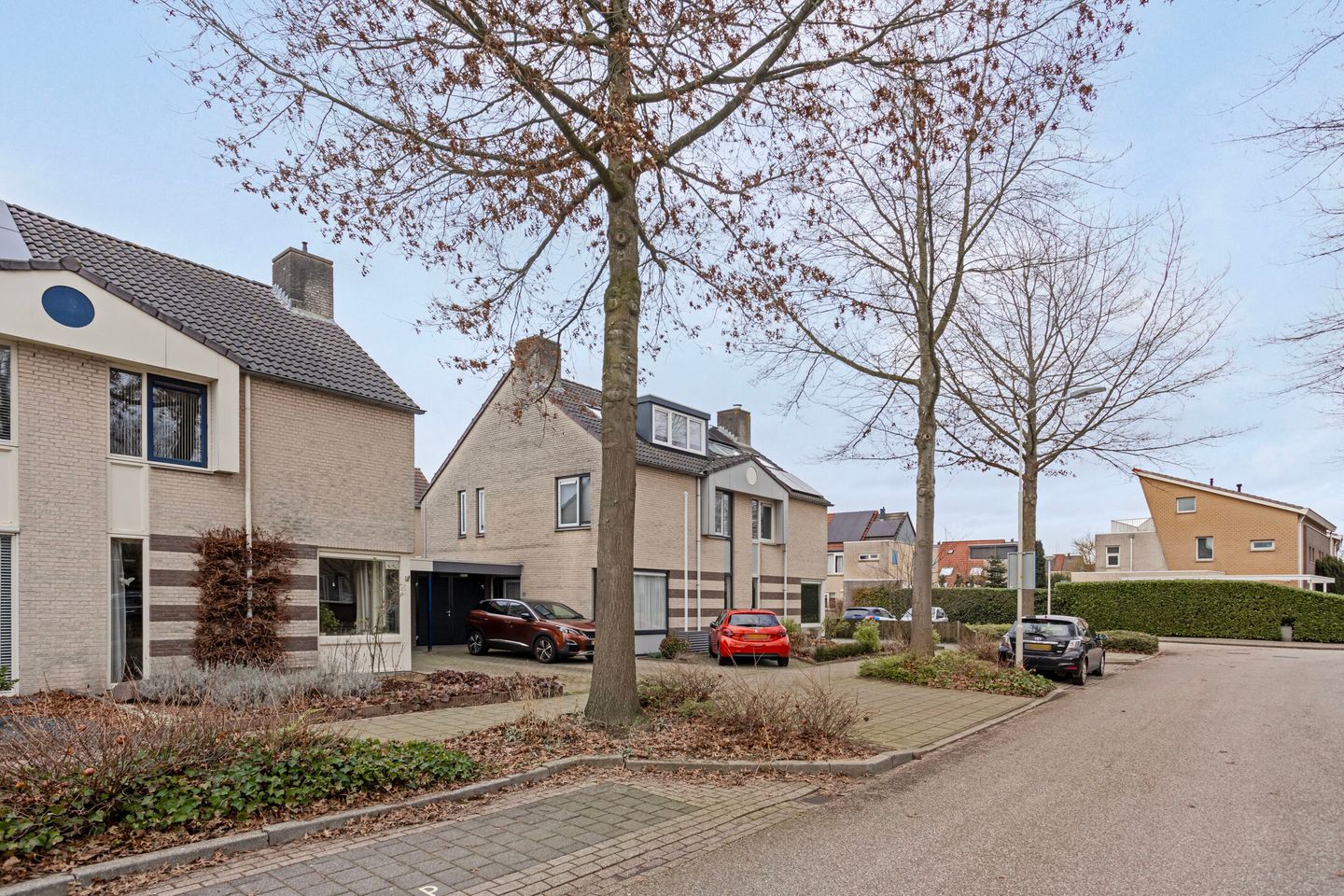 Foto 50 van Zwerfkei 54