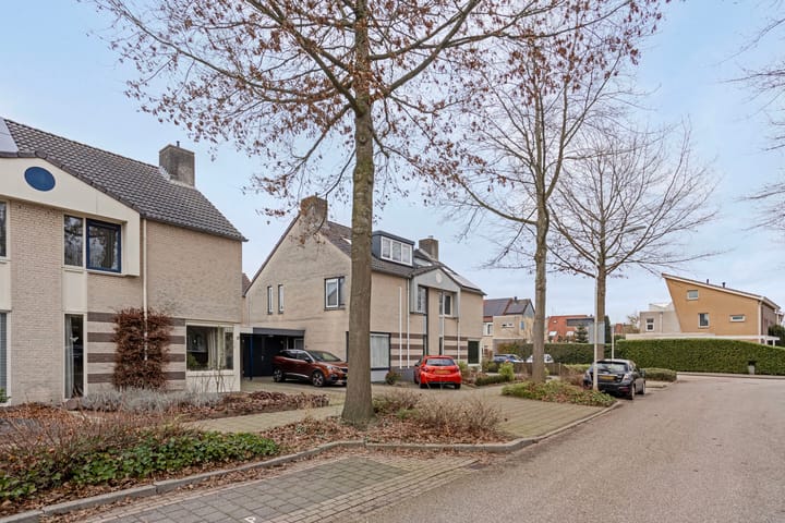 Foto 50 van Zwerfkei 54