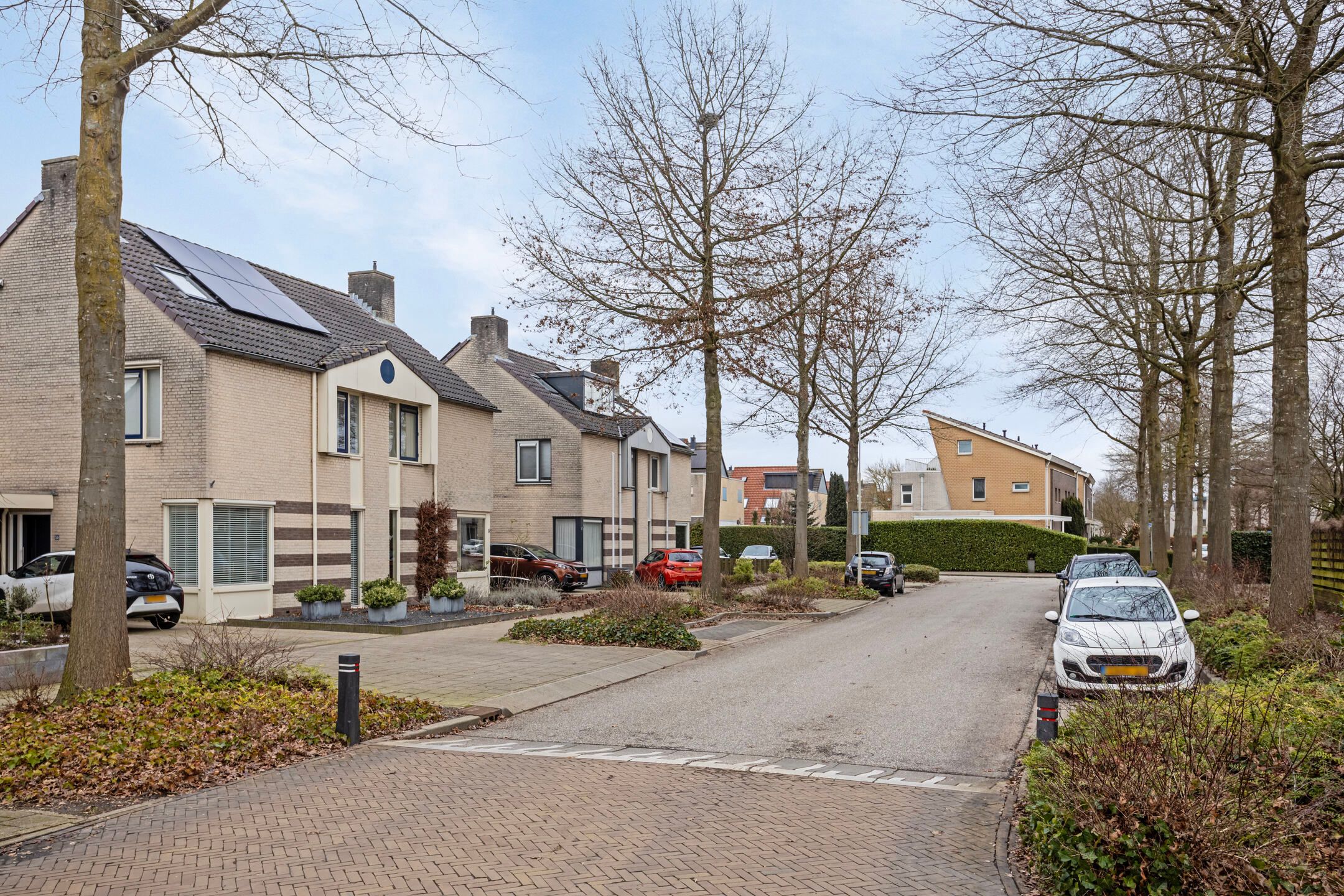 Foto 51 van Zwerfkei 54