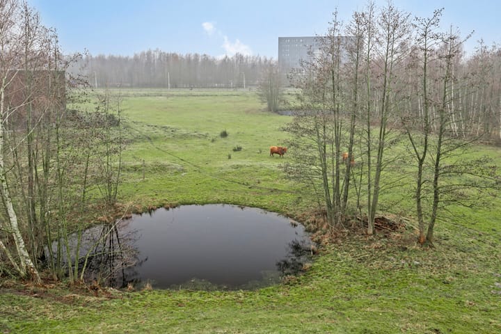 Foto 23 van Bijsterveldenlaan 393