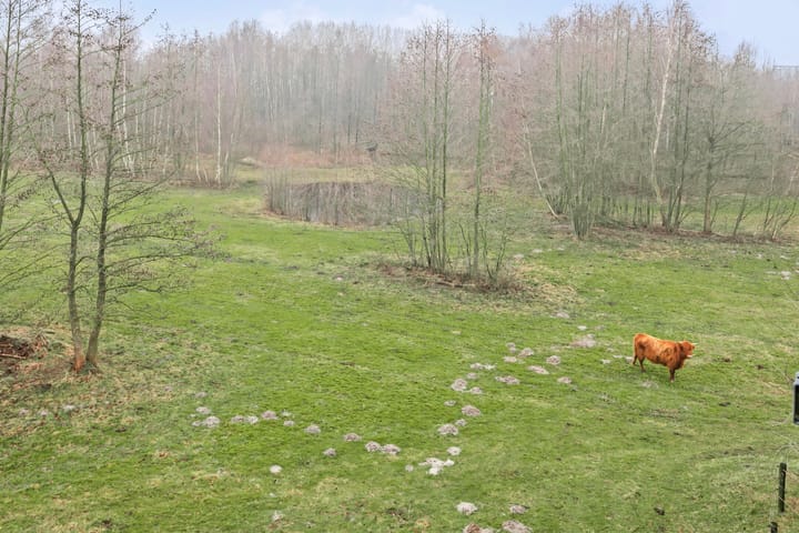 Foto 24 van Bijsterveldenlaan 393