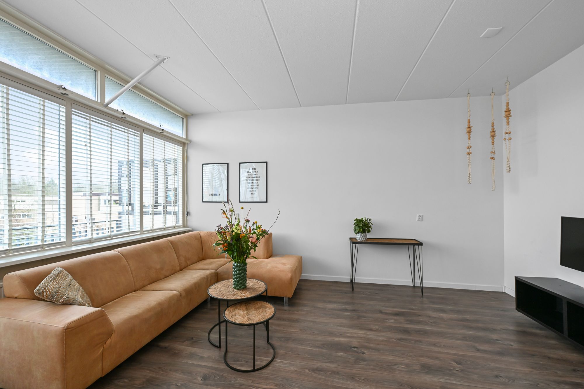 Foto 3 van Potvisstraat 56