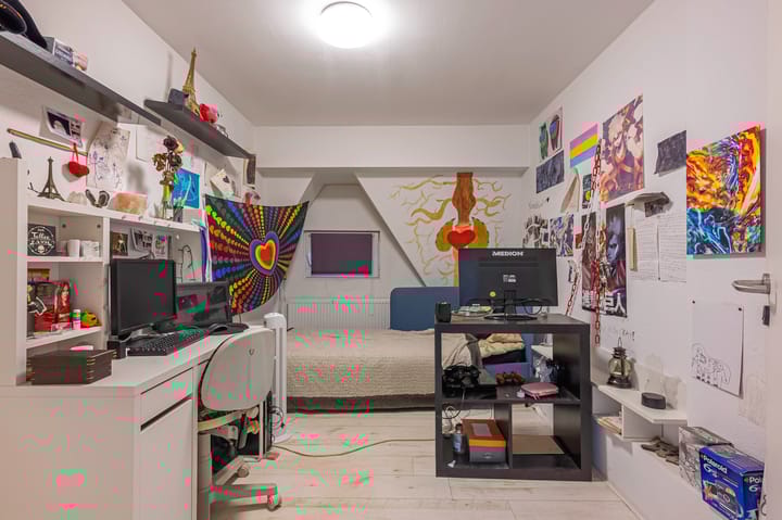 Foto 17 van Theresiastraat 24