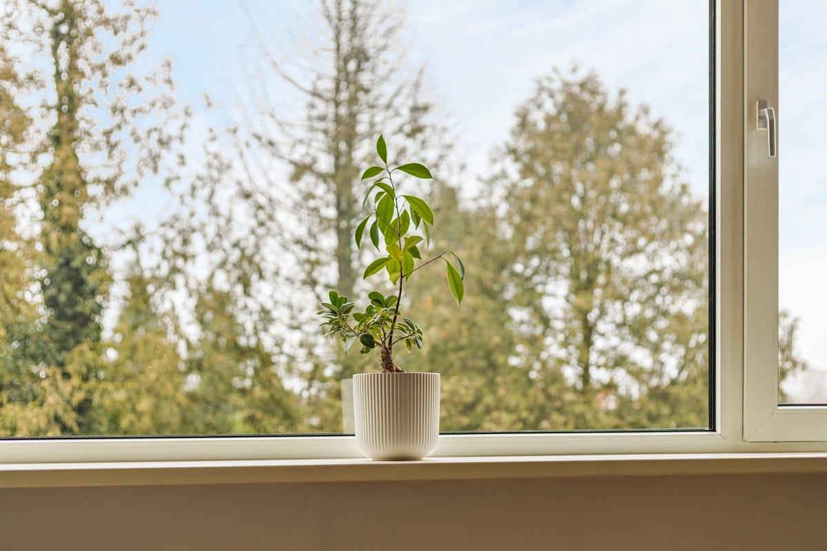 Foto 12 van van Hogendorplaan 48-D